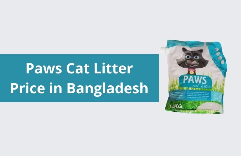 cat-litter-archives-pet-zone-bd