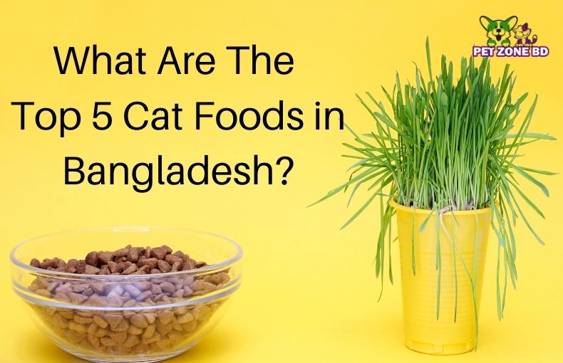 What are the top 5 cat foods in Bangladesh Pet Zone BD