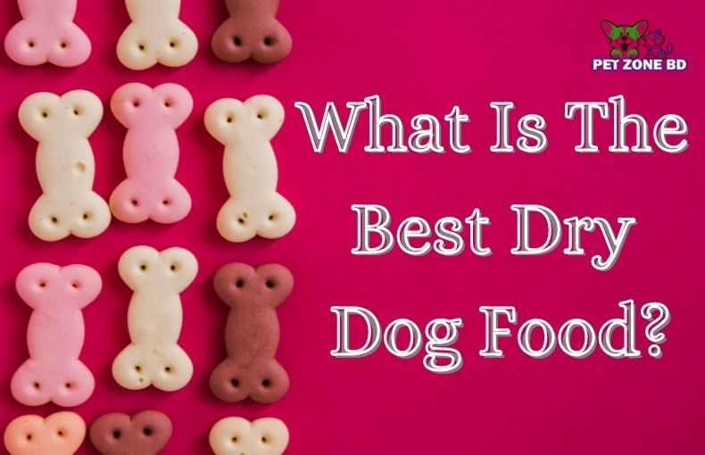 which is the best dry dog food