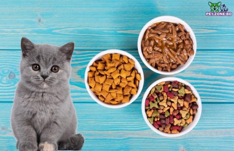 Mito Cat Food Review in Bangladesh - Pet Zone BD