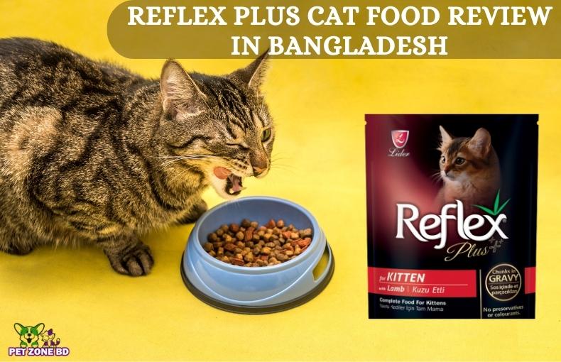 Reflex Plus Cat Food Review in Bangladesh Pet Zone BD