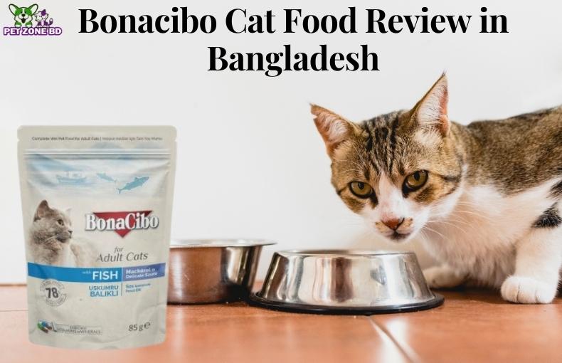 Bonacibo Cat Food Review in Bangladesh Pet Zone BD