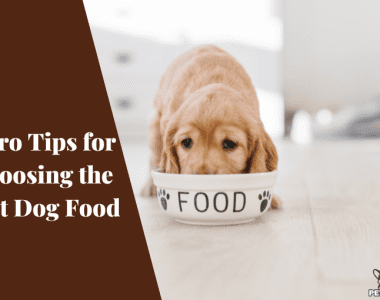 Buy Pet Food from Online - Pet Zone BD