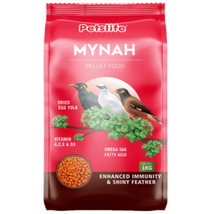 PETSLIFE Mynah Bird Food