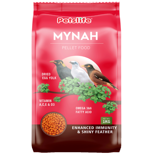 PETSLIFE Mynah Bird Food