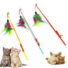 Cat Feather Toy