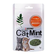 Cat Nip Mint Powder 5g