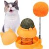 CatNip Ball Toy For Cats